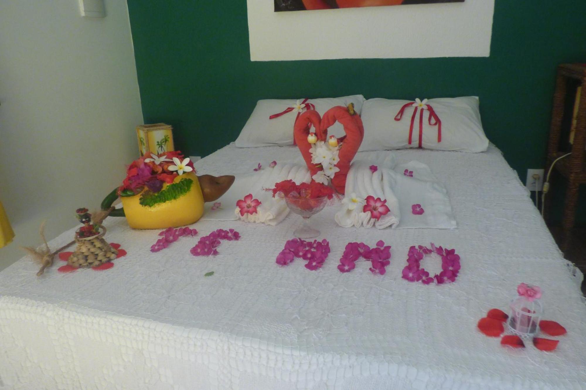 A Toca Do Bem-te-vi *